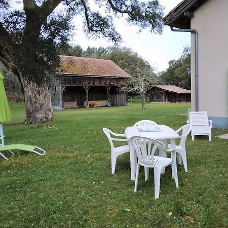Le Petit Frouas Sud Appartement Vielle-Saint-Girons Buitenkant foto