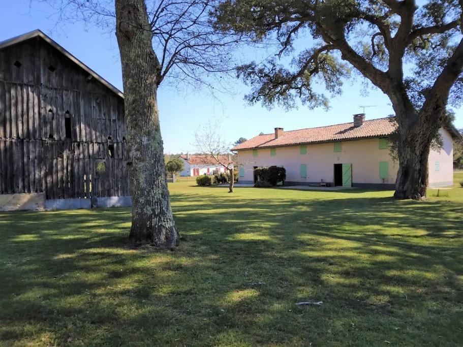 Le Petit Frouas Sud Appartement Vielle-Saint-Girons Buitenkant foto