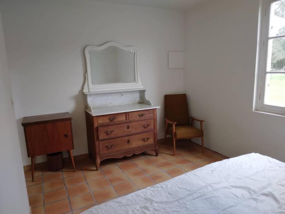 Le Petit Frouas Sud Appartement Vielle-Saint-Girons Buitenkant foto