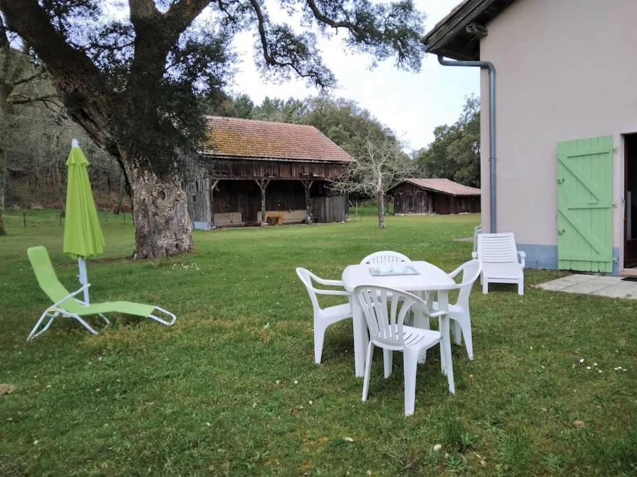 Le Petit Frouas Sud Appartement Vielle-Saint-Girons Buitenkant foto