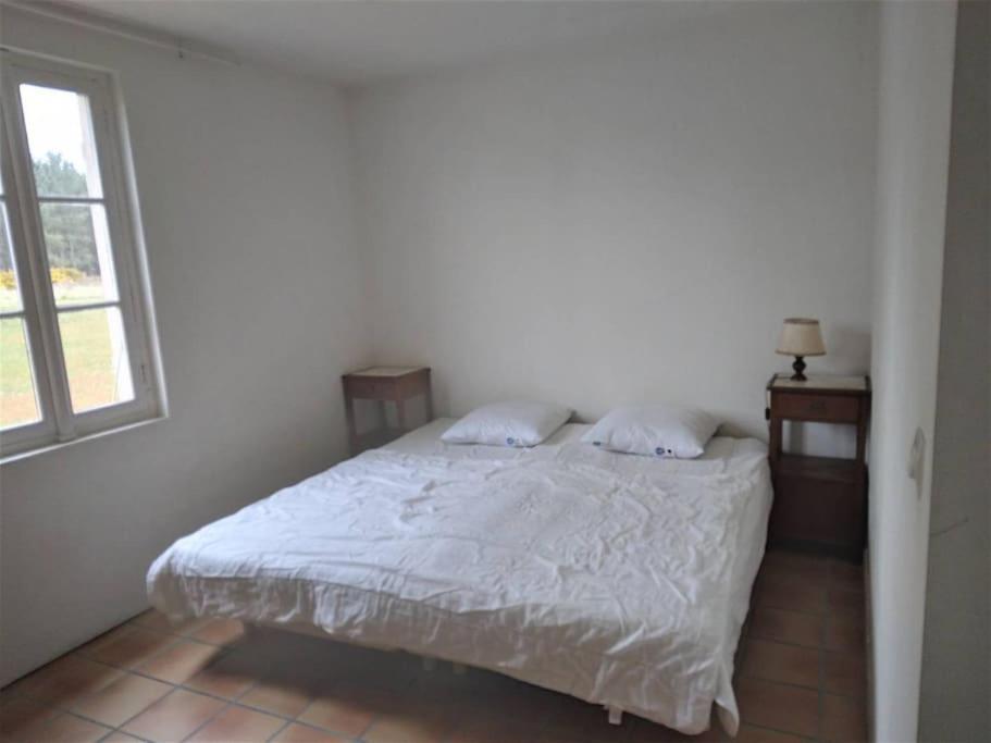 Le Petit Frouas Sud Appartement Vielle-Saint-Girons Buitenkant foto